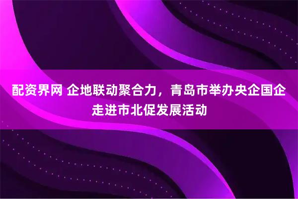 配资界网 企地联动聚合力，青岛市举办央企国企走进市北促发展活动